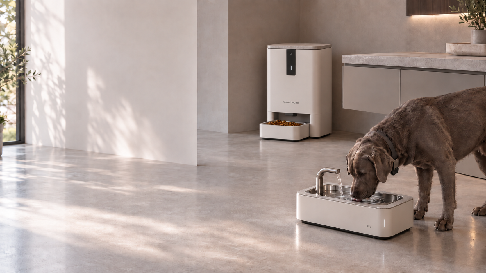 Escena de alimentación e hidratación inteligentes para perros: dispositivo inteligente de almacenamiento y dosificación de alimento, bebedero de agua corriente con filtro y perros con dispositivos de identificación individual en el collar